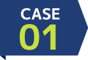 CASE01